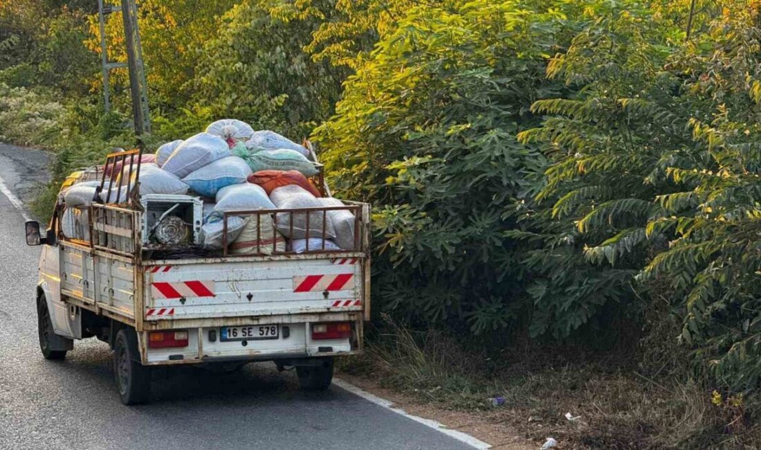 Zonguldak’ın Alaplı ilçesinde fındık hasadıyla birlikte köylere gelen fındık toplayıcıları,