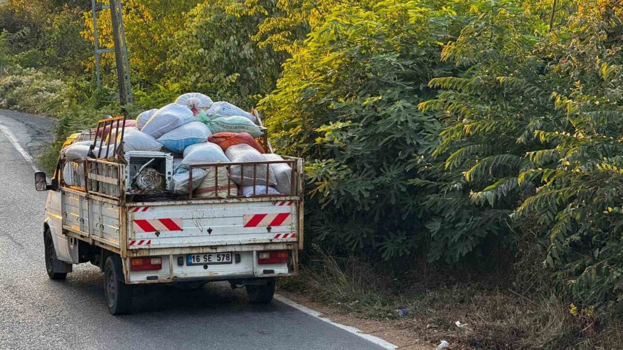 Zonguldak’ın Alaplı ilçesinde fındık hasadıyla birlikte köylere gelen fındık toplayıcıları,