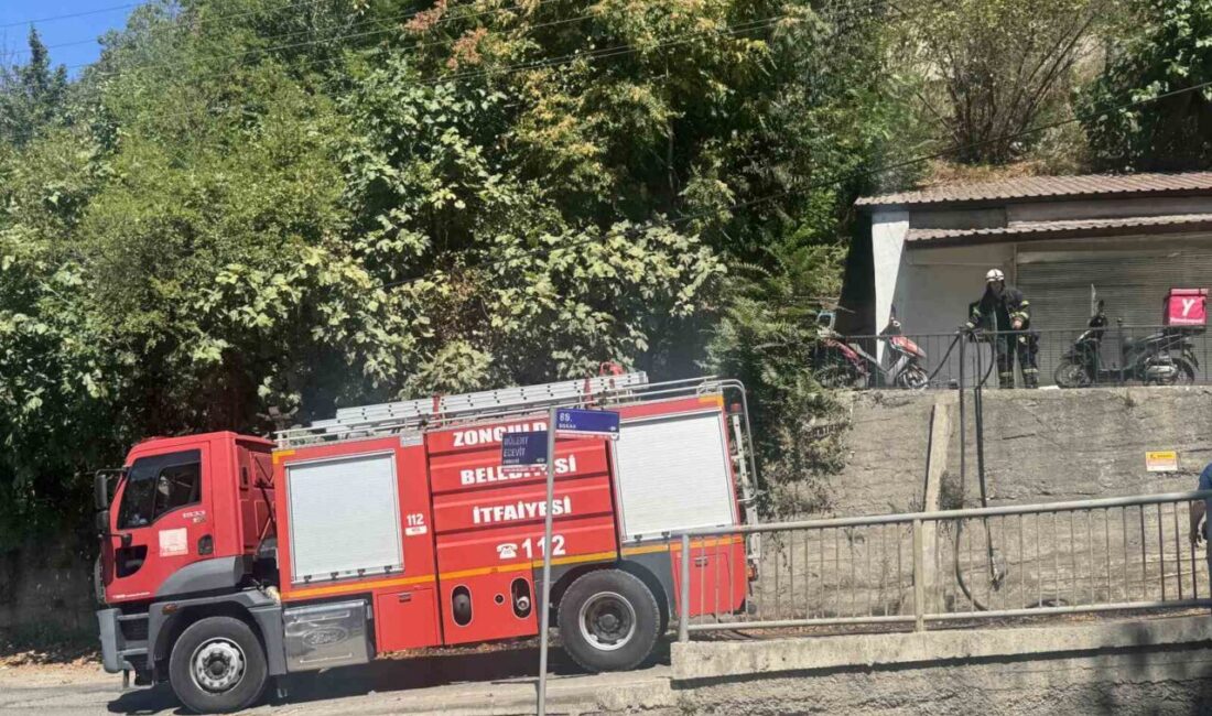 Zonguldak’ta ormanlık alanda çıkan yangın büyümeden söndürüldü. Edinilen bilgiye göre
