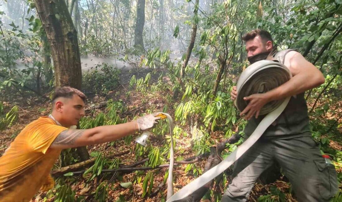 Zonguldak’ta, Ulutan Barajı mevkiinde çıkan orman yangını, ekiplerin hızlı müdahalesiyle