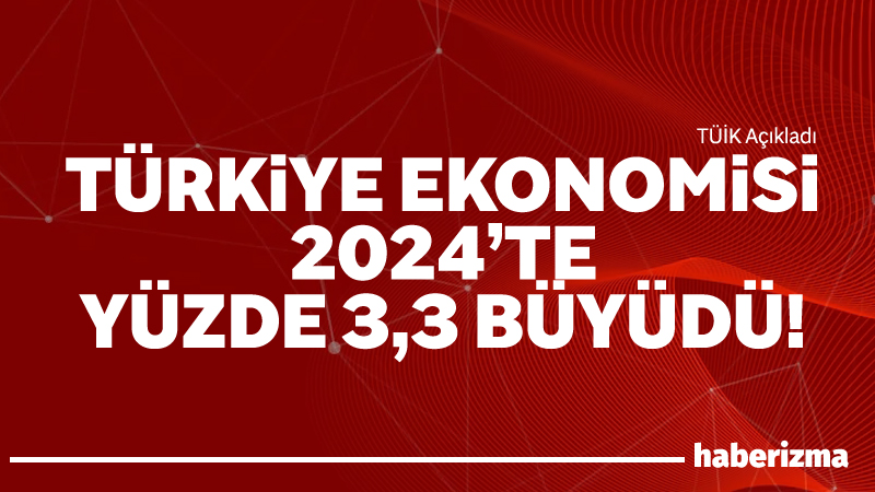 Türkiye İstatistik Kurumu (TÜİK), 2024 yılına ait yıllık Gayrisafi Yurt