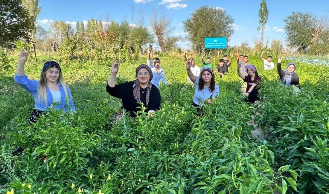 Afyonkarahisar Ülkü Ocakları İl Başkanı Mesut Çetinkaya, Asena ve Ortaöğretim