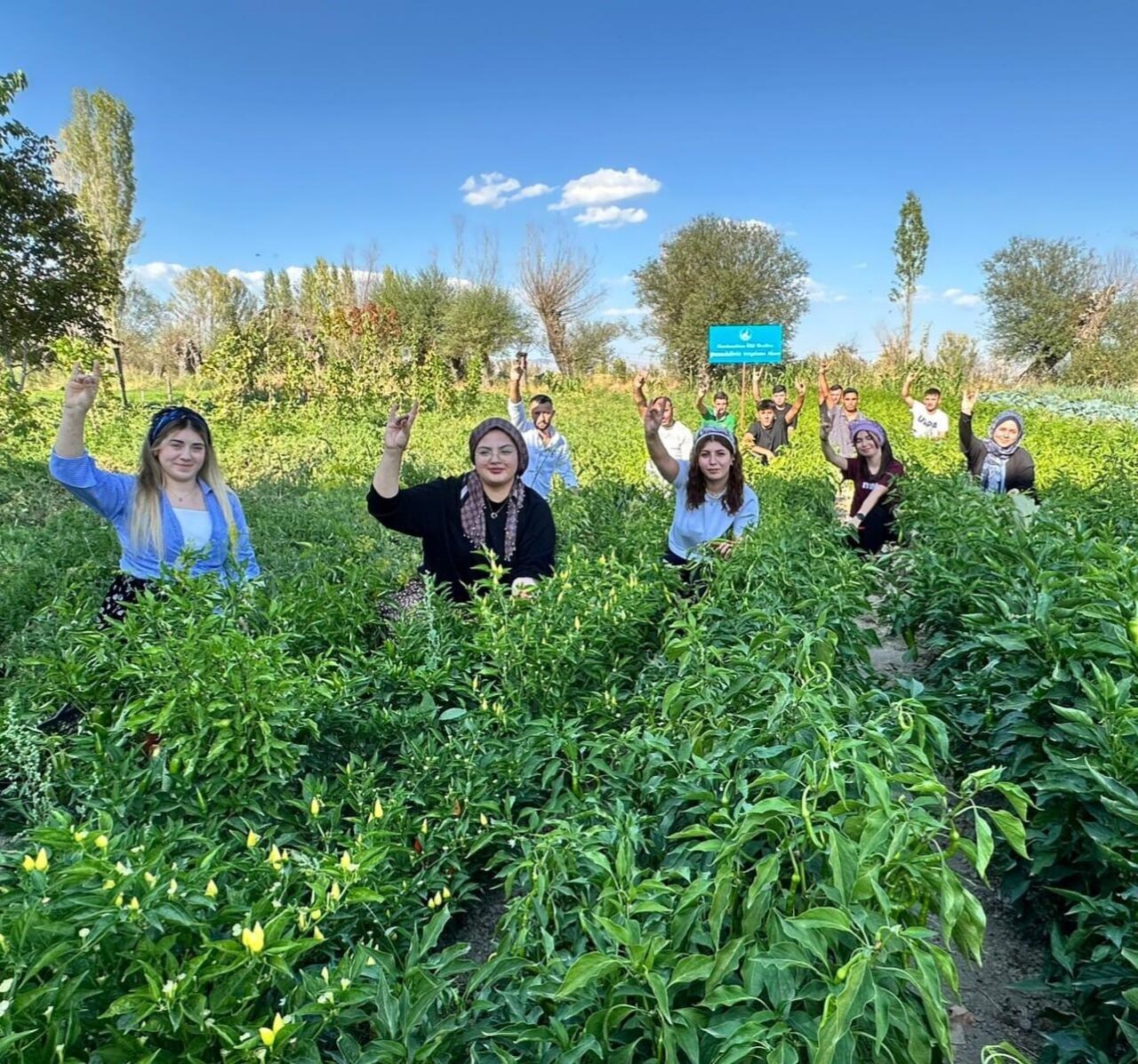 Afyonkarahisar Ülkü Ocakları İl Başkanı Mesut Çetinkaya, Asena ve Ortaöğretim