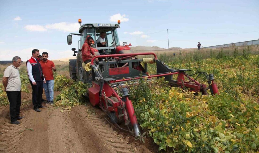Türkiye genelinde kuru fasulye üretiminde 4. sırada yer alan Bitlis’te