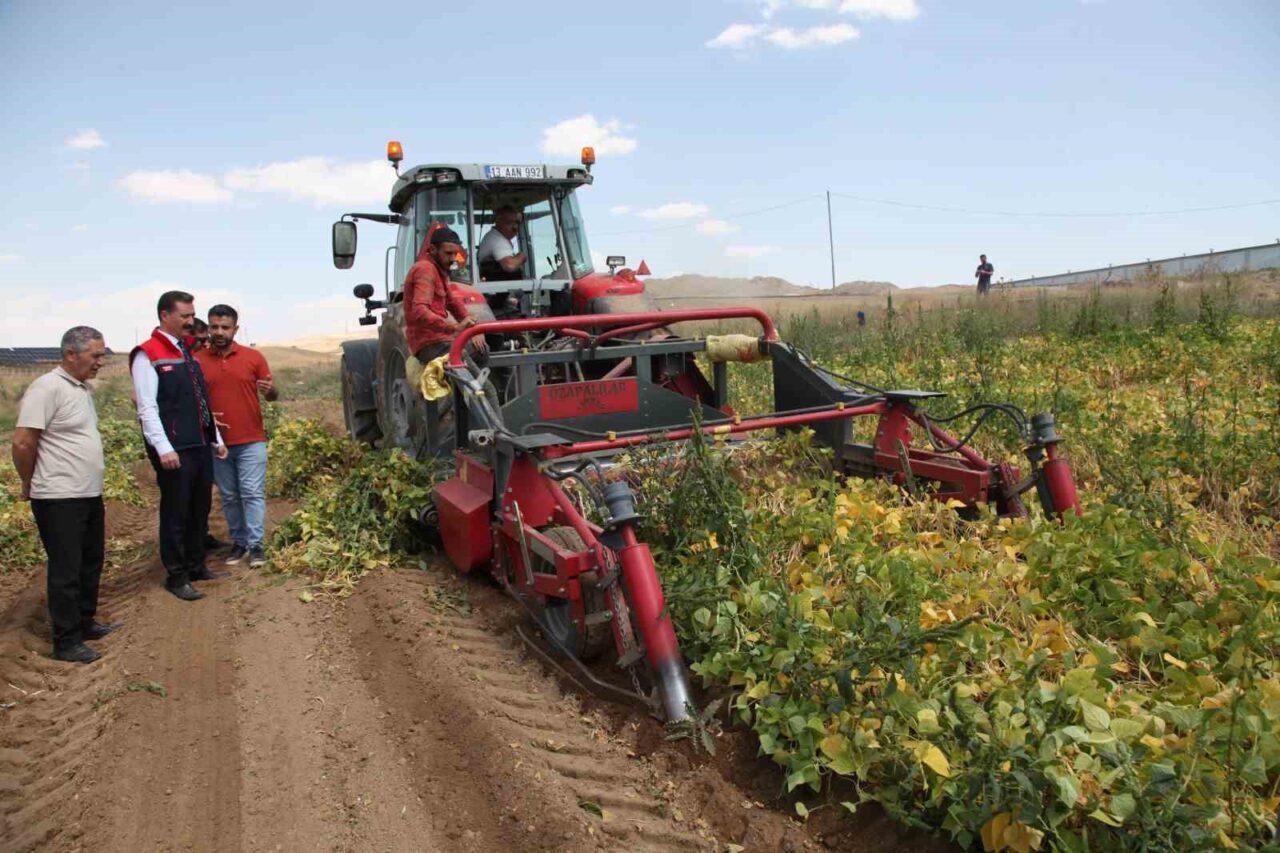 Türkiye genelinde kuru fasulye üretiminde 4. sırada yer alan Bitlis’te