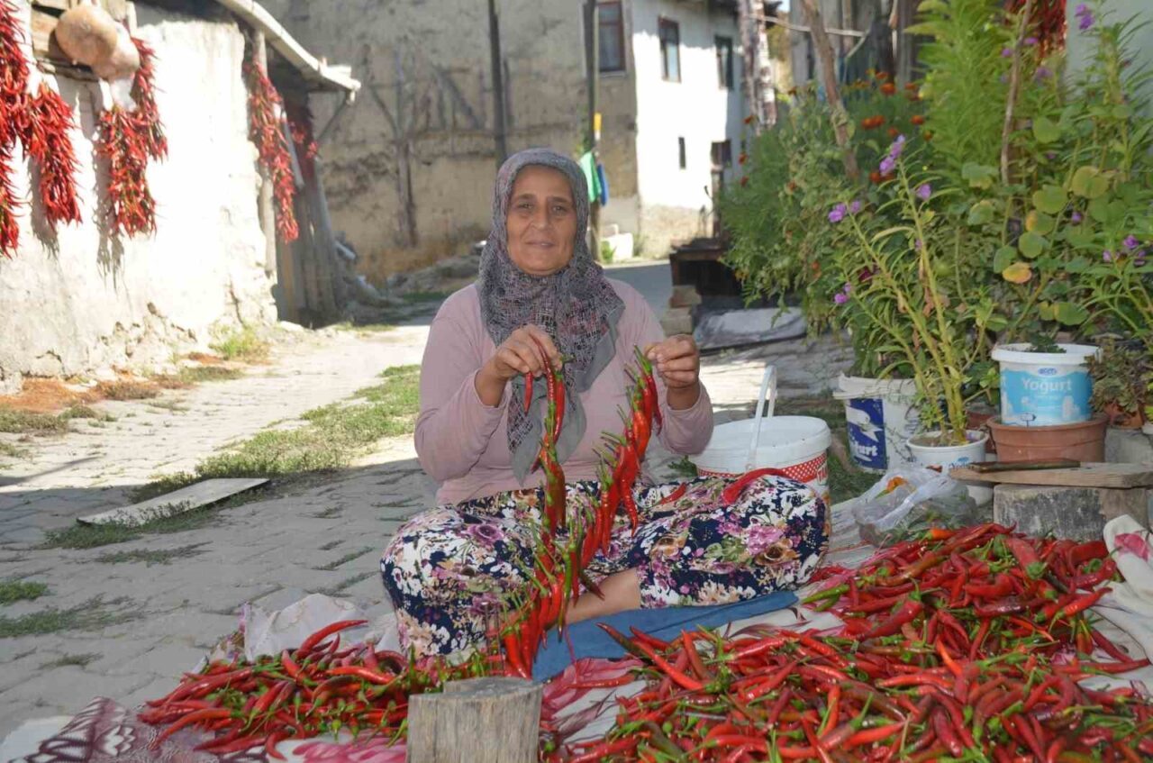 Bilecik’in Çukurören köyüne özgü acı biberin üretimi yaklaşık 160 yıldır