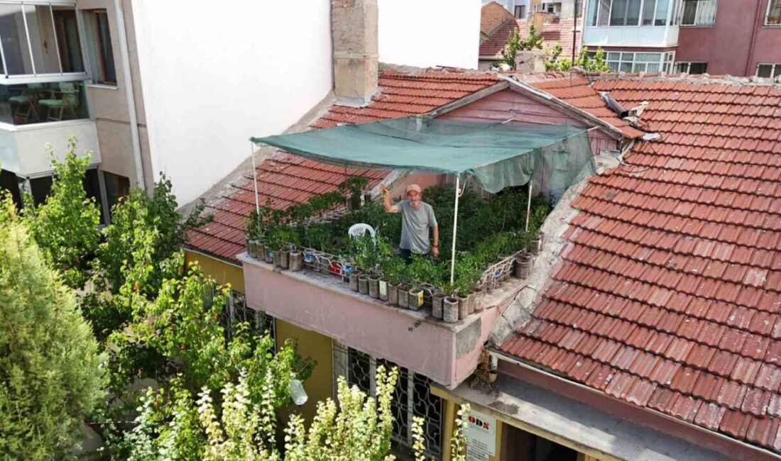 Eskişehir’de yaşayan Salim Pektaş, iş yerinin 18 metrekarelik terasına içi