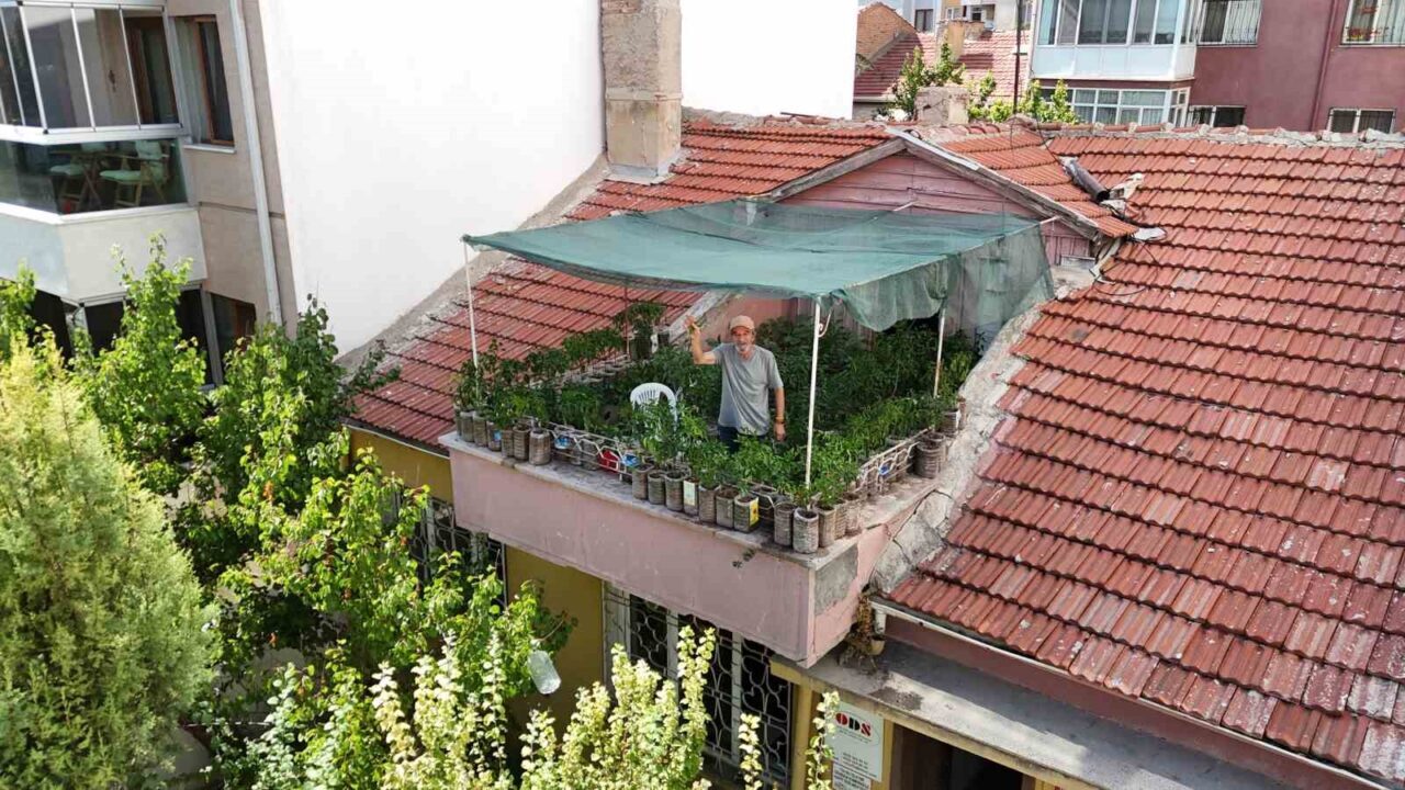 Eskişehir’de yaşayan Salim Pektaş, iş yerinin 18 metrekarelik terasına içi