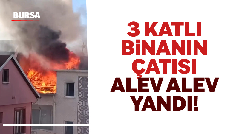Bursa’nın Osmangazi ilçesinde 3 katlı bir binanın çatı katında çıkan