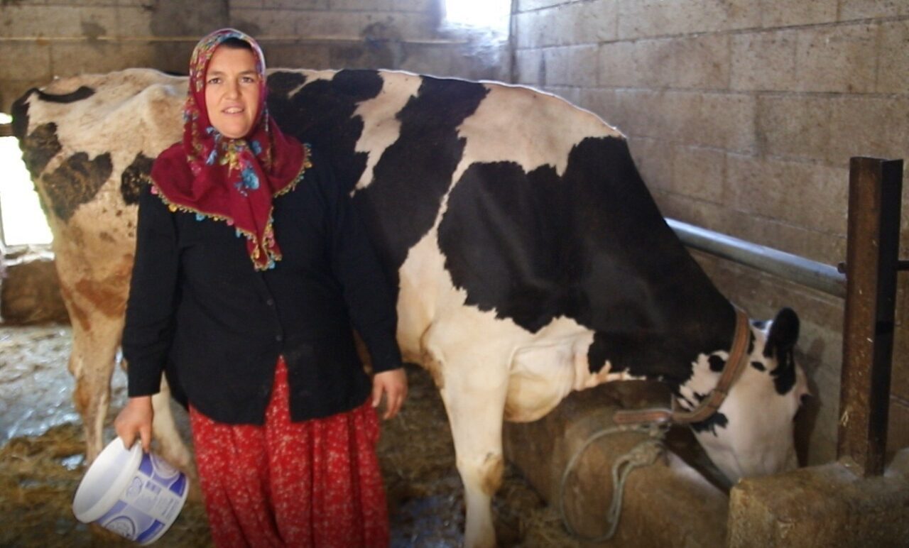 Gaziantep’in Şahinbey ilçesinde yaşayan Yıldız Aslan, Şahinbey Belediyesi’nden aldığı 2