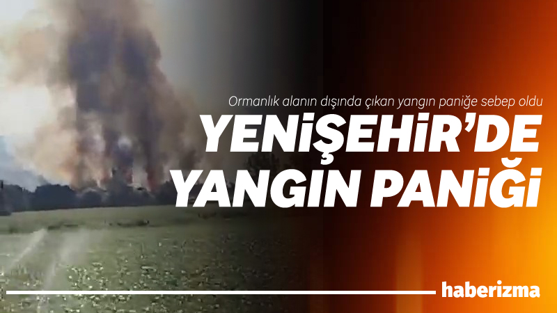 Bursa’nın Yenişehir ilçesinde, ormanlık alanın dışında çıkan yangın paniğe sebep