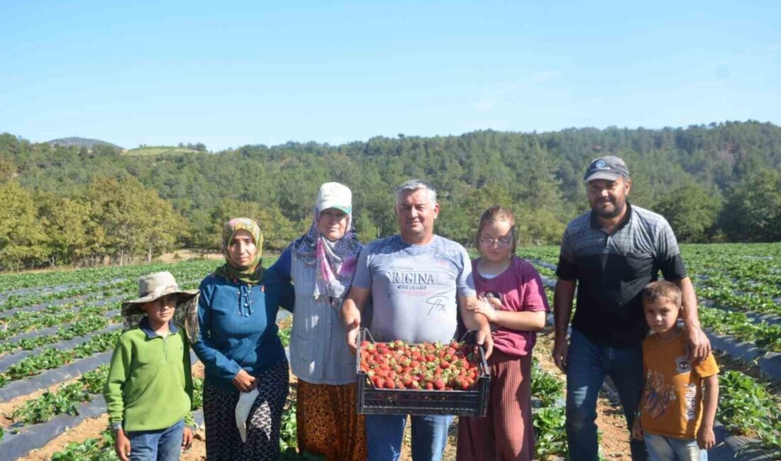Bilecik’te 25 yıl domates, salatalık ve barbunya üretimi yapan karı