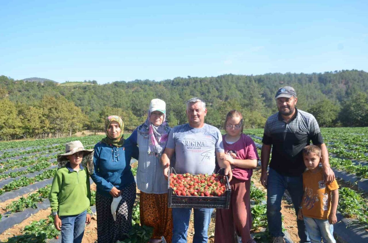 Bilecik’te 25 yıl domates, salatalık ve barbunya üretimi yapan karı
