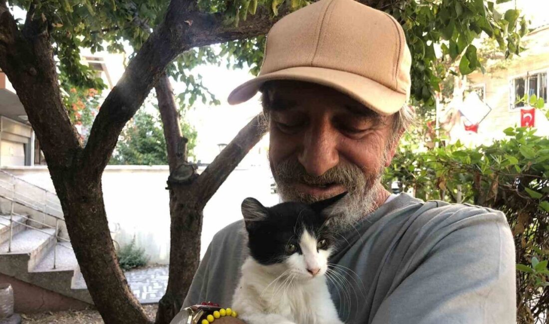 Eskişehir’de esnaflık yapan Salih Pektaş, iş yerinin önüne koyduğu mama