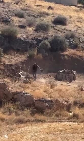 Sivas’ın Gemerek ilçesinde köpeğe şiddet uygulayan kişi gözaltına alındı. Olay,