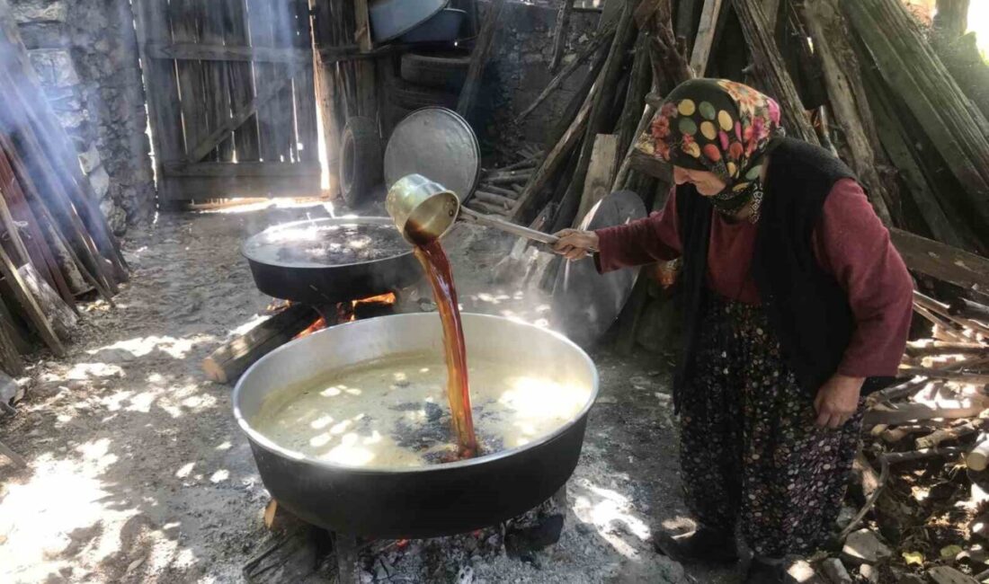 Antalya’nın İbradı ilçesine bağlı Ürünlü köyünde bağ bozumu sonrası geleneksel