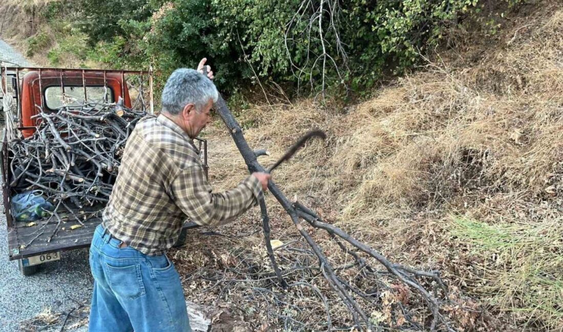 Aydın’da hava sıcaklıklarının azalması ile birlikte vatandaşlar kış hazırlıklarına hız