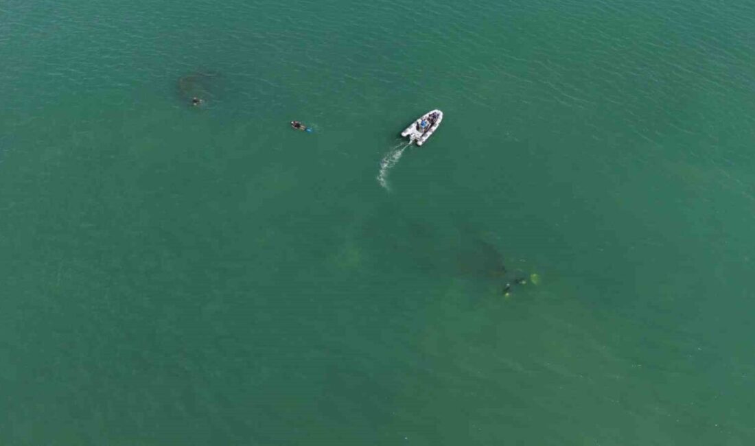 Ordu’da 1933 yılında batan gazyağı yüklü Rus şilebi dronla görüntülendi,