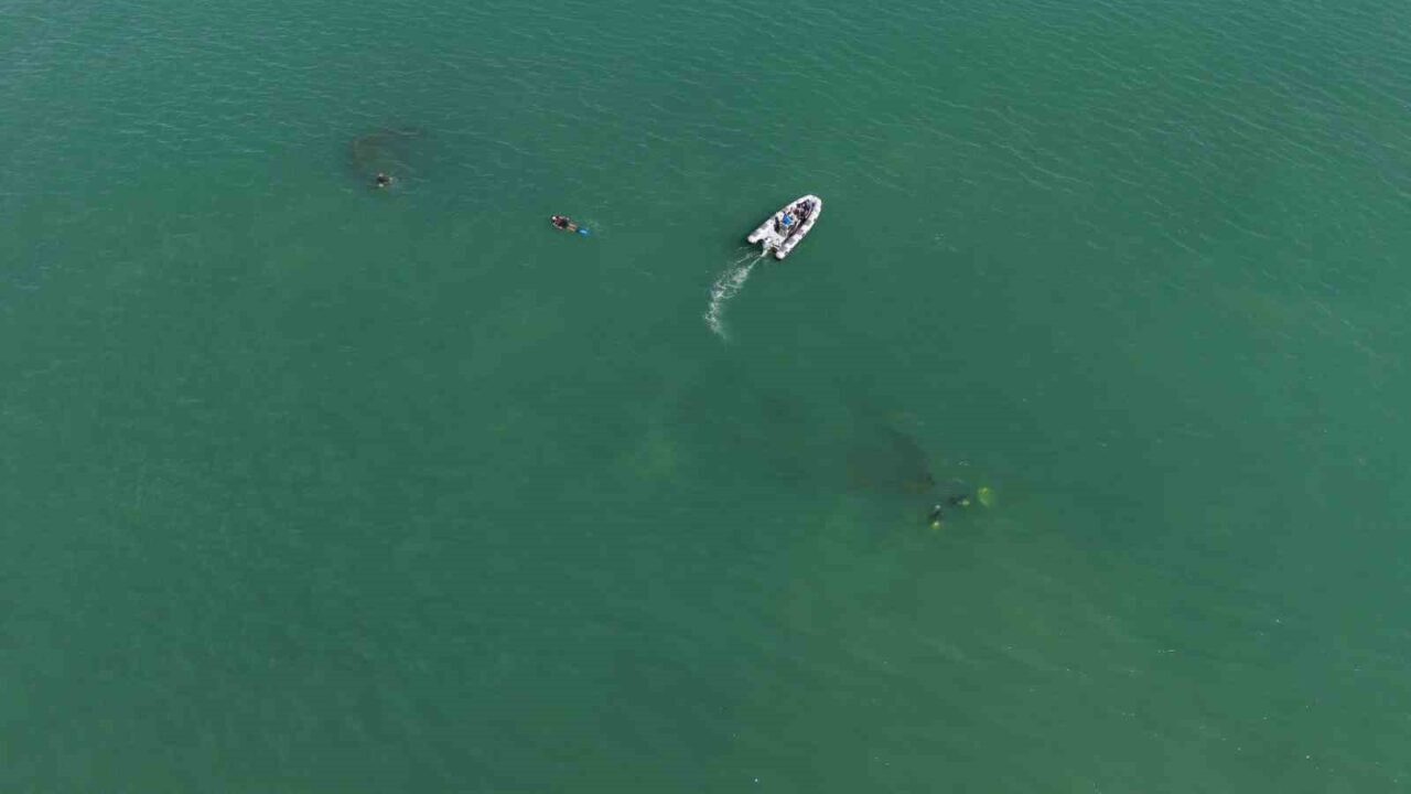 Ordu’da 1933 yılında batan gazyağı yüklü Rus şilebi dronla görüntülendi,