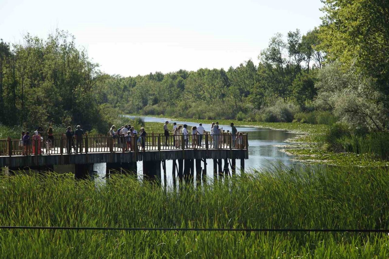 Karadeniz’in en önemli turizm destinasyonlarından bir tanesi olan Acarlar Longozu