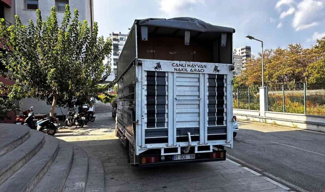 Adana’da piyasa değeri yaklaşık 30 milyon lira olan 7 milyon