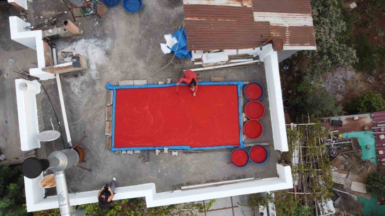 Adana’da birçok kişinin emek vererek yaptığı biberin salça yolculuğu başladı.