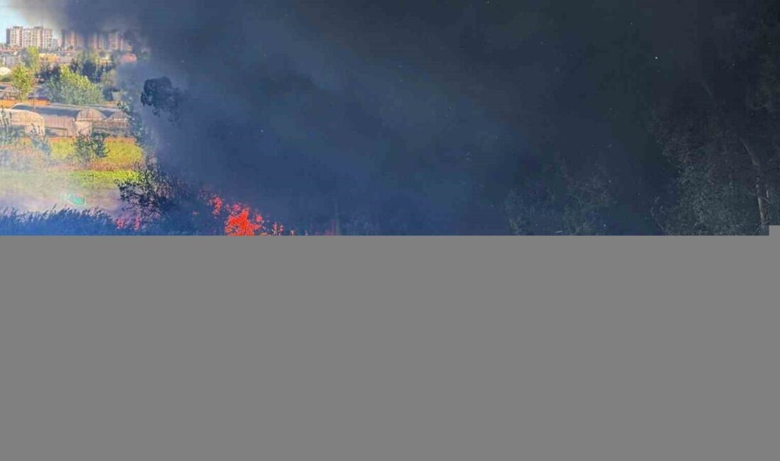 Adana’da geri dönüşüm fabrikasında yangın çıktı. İtfaiye ekipleri yangına müdahale