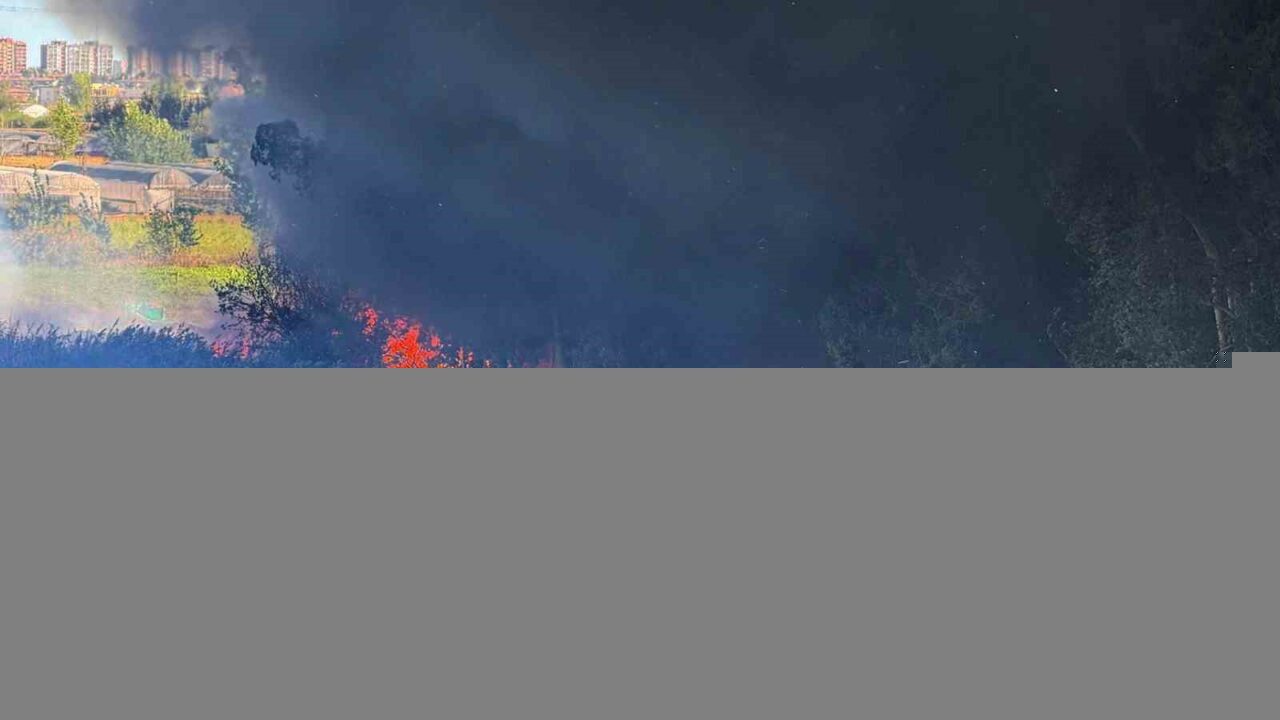 Adana’da geri dönüşüm fabrikasında yangın çıktı. İtfaiye ekipleri yangına müdahale