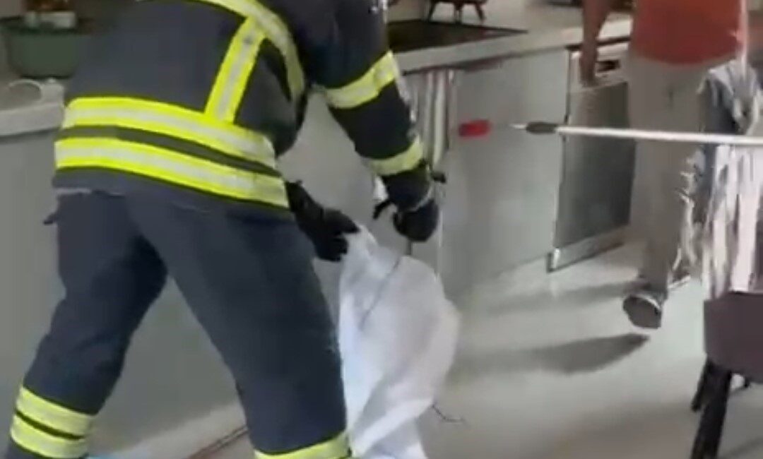 Adana’da bir ailenin mutfağında ortaya çıkan yılan, evde kısa süreli