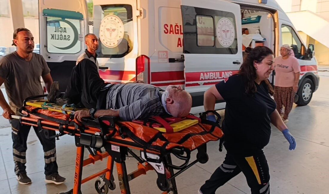 Adana’nın Kozan ilçesinde meydana gelen trafik kazasında 1’i çocuk 5