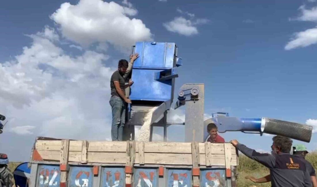 Bitlis’in Adilcevaz ilçesinde üreticilerin önemli geçim kaynaklarından biri olan fasulyede