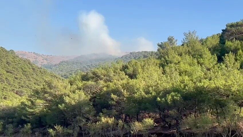 Adıyaman’da ormanlık alanda çıkan yangın, havadan ve karadan müdahale ile