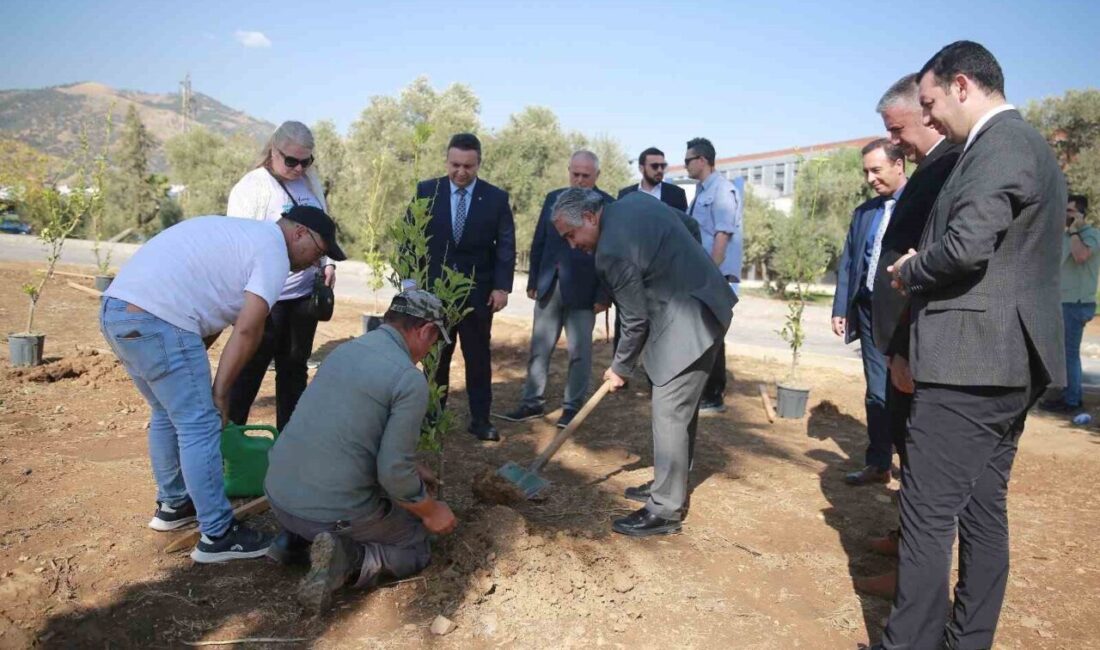 Aydın Adnan Menderes Üniversitesi’nde (ADÜ) “Yeşil Kampüs” çalışmaları kapsamında limon