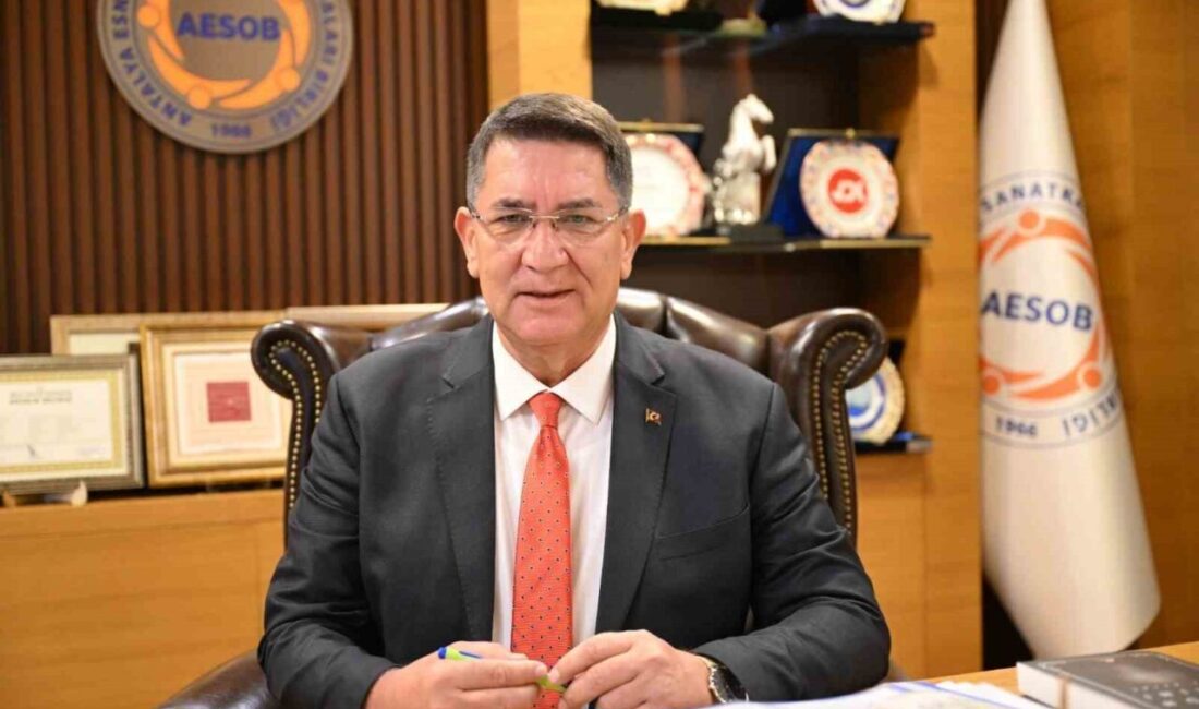 Türkiye Esnaf ve Sanatkarları Konfederasyonu (TESK) Genel Başkan Vekili ve