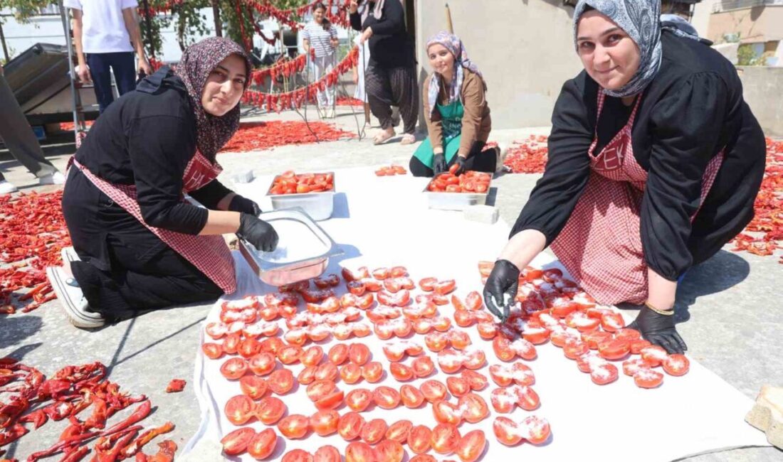 Hatay’da afetzede kadınların yoğun mesaisiyle kavurucu sıcakta kuruttuğu domatesler, kış