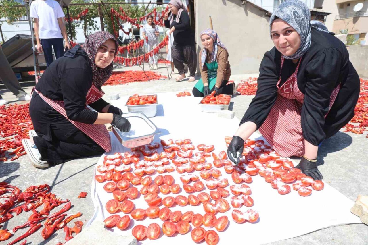 Hatay’da afetzede kadınların yoğun mesaisiyle kavurucu sıcakta kuruttuğu domatesler, kış