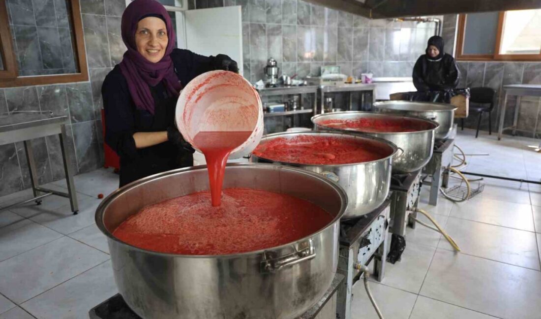 Hatay’ın Altınözü ilçesinde afetzede kadınlar kış aylarının vazgeçilmezi domates salçasının