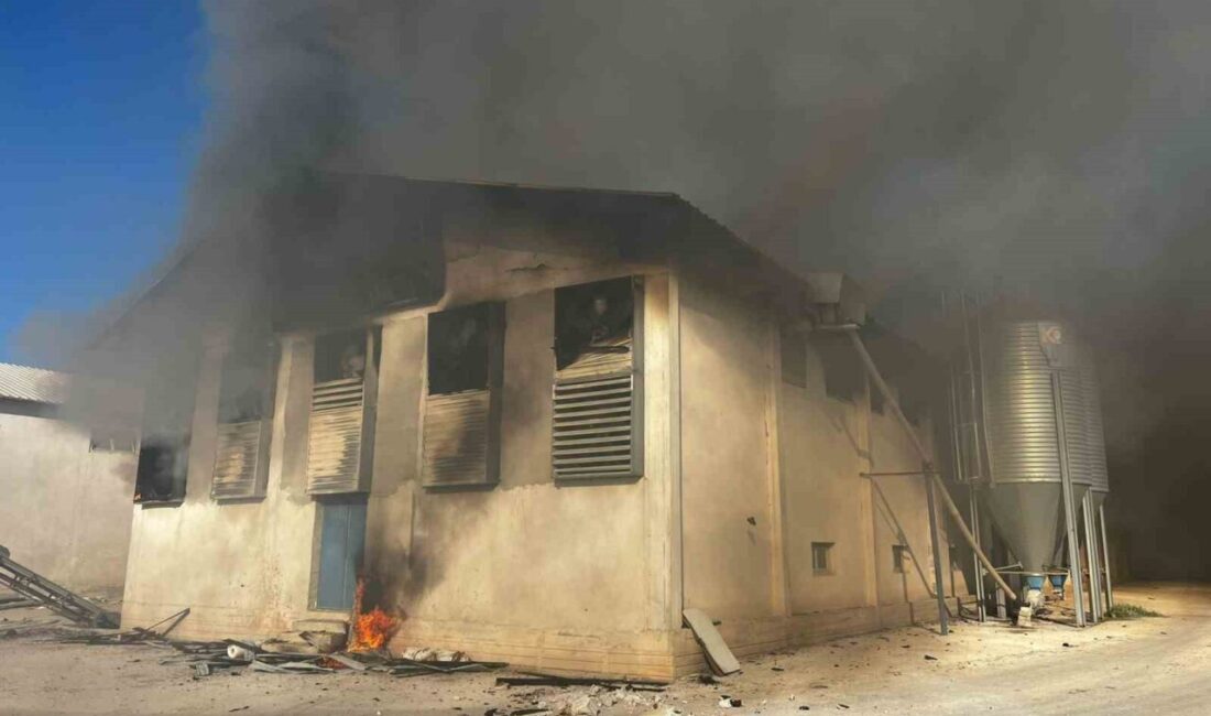 Afyonkarahisar’ın Başmakçı ilçesinde tavuk çiftliğinde çıkan yangında çok sayıda tavuk