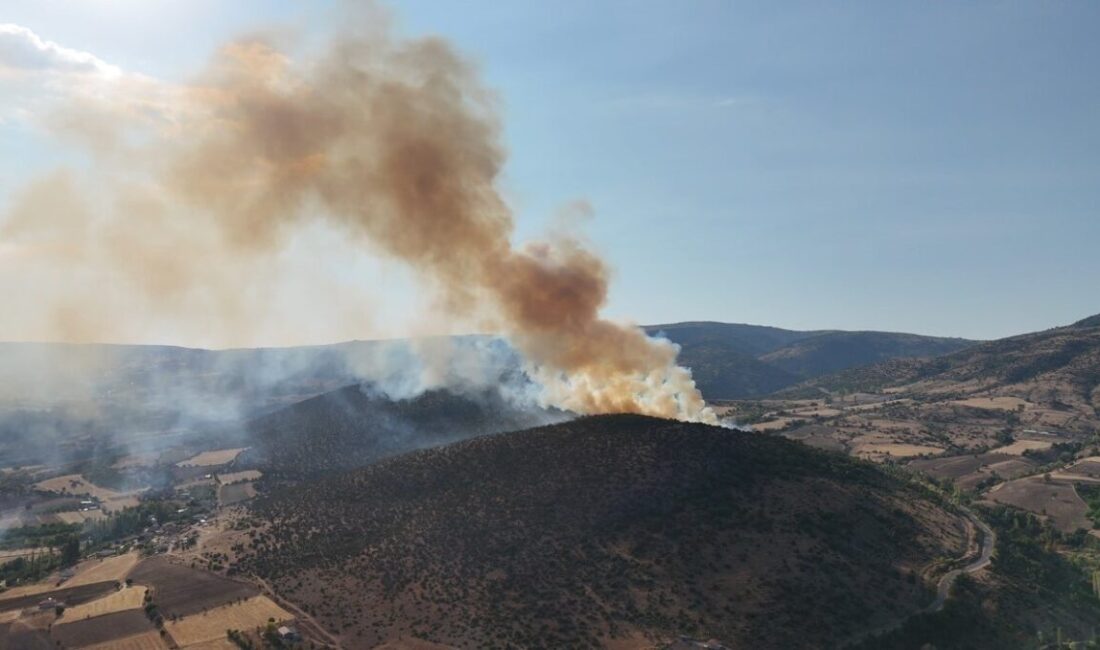 Tokat’ın Zile ilçesinde ağaçlık alanda yangın çıktı. Bölgeden yükselen dumanlar