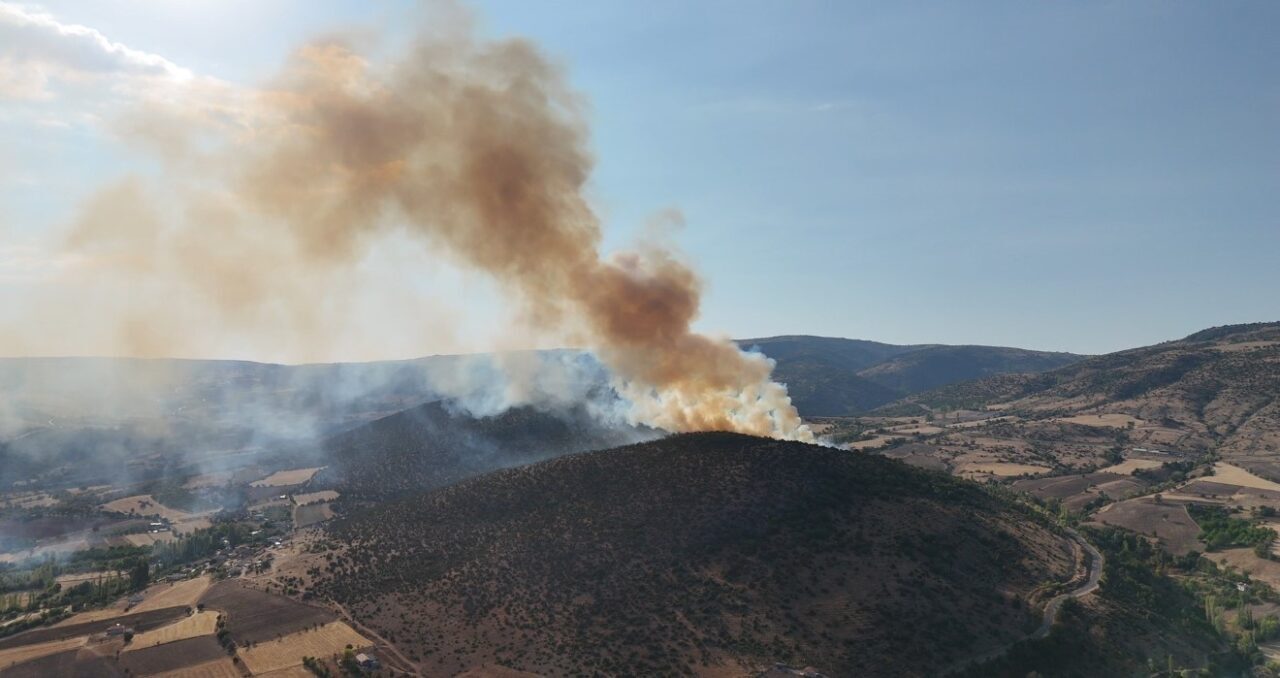 Tokat’ın Zile ilçesinde ağaçlık alanda yangın çıktı. Bölgeden yükselen dumanlar