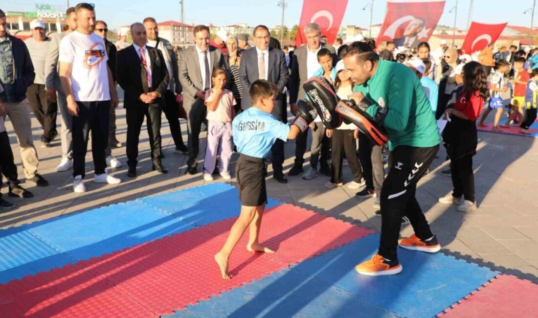 Gençlik ve Spor Bakanlığı ile Avrupa Birliği (AB) Başkanlığı himayelerinde,