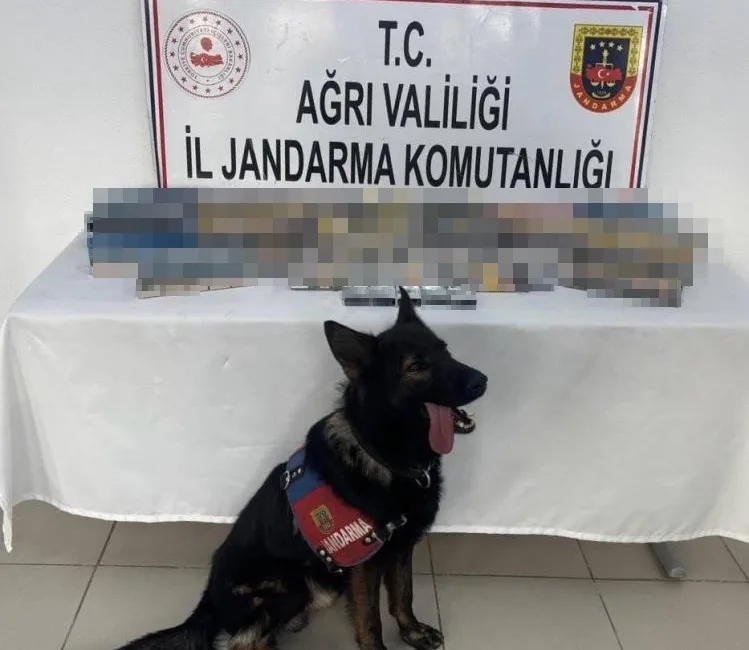 Ağrı’nın Doğubayazıt ilçesinde jandarma ekiplerince düzenlenen yol kontrol faaliyeti sırasında