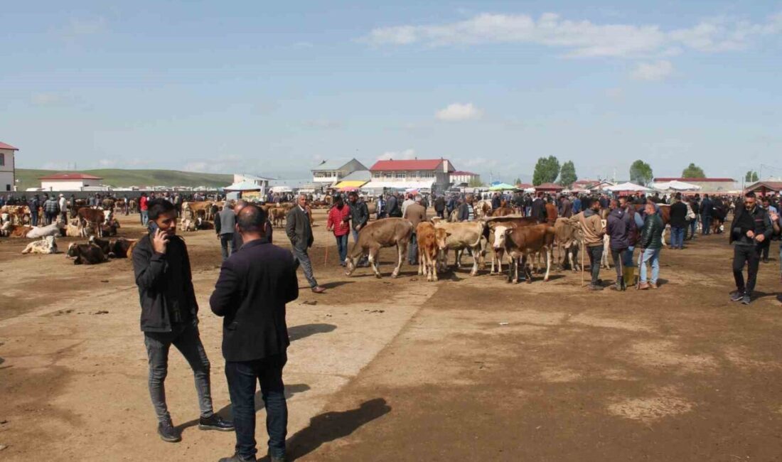 Ağrı’da, şap hastalığı nedeniyle geçici süreyle kapatılan Canlı Hayvan Borsası,