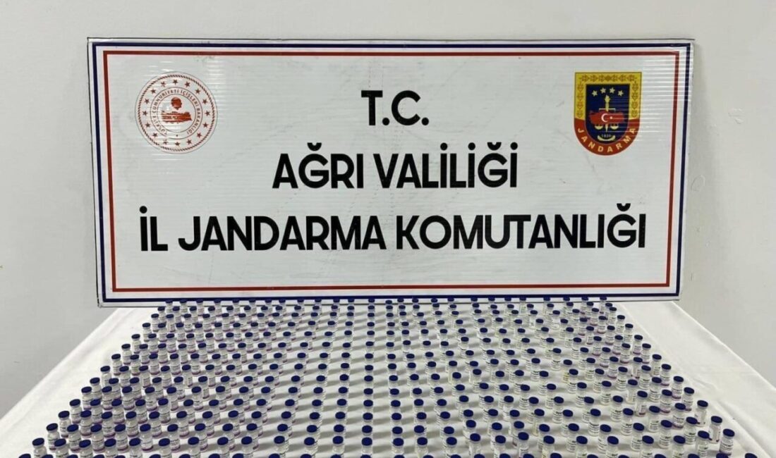 Ağrı’nın Doğubayazıt ilçesinde düzenlenen operasyonlarda çok sayıda kaçak ürün ele