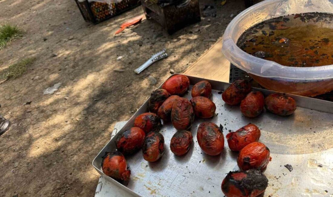 Ağrı’da yaz aylarında toplanan patlıcan, biber ve domatesler közlenip dondurucularda