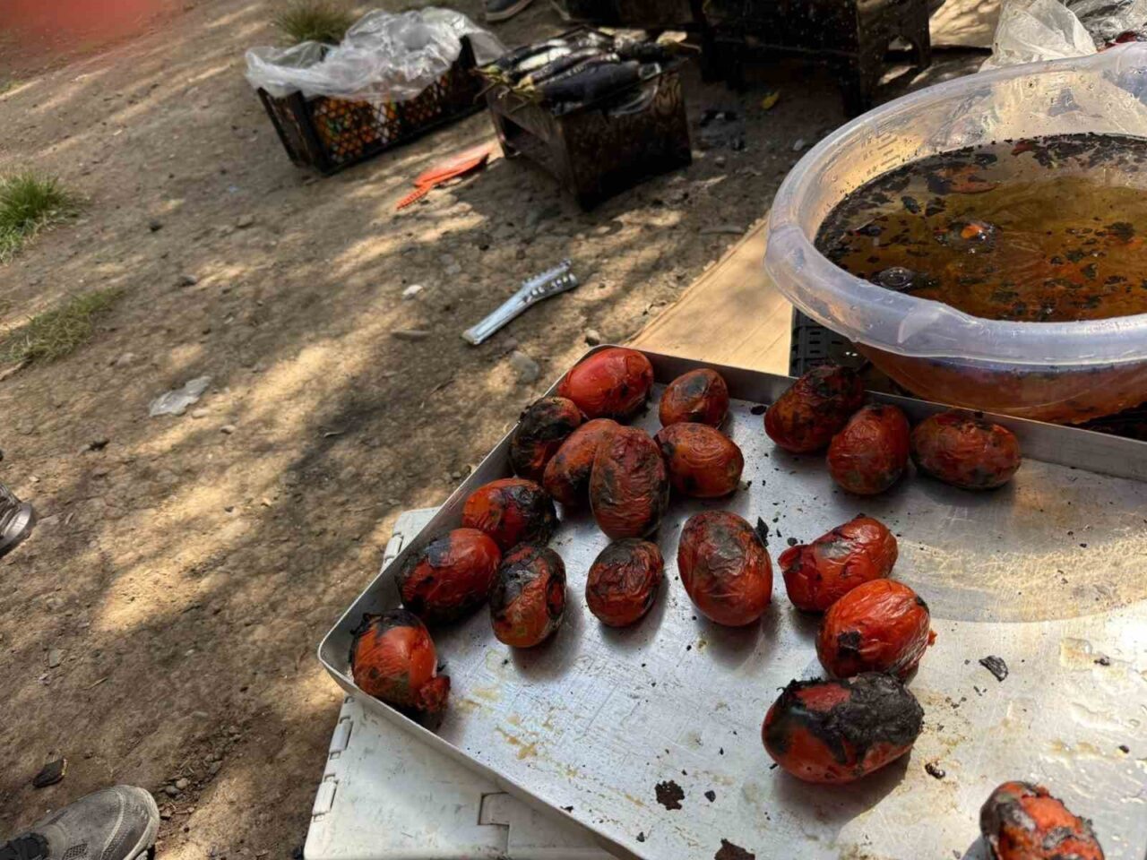 Ağrı’da yaz aylarında toplanan patlıcan, biber ve domatesler közlenip dondurucularda