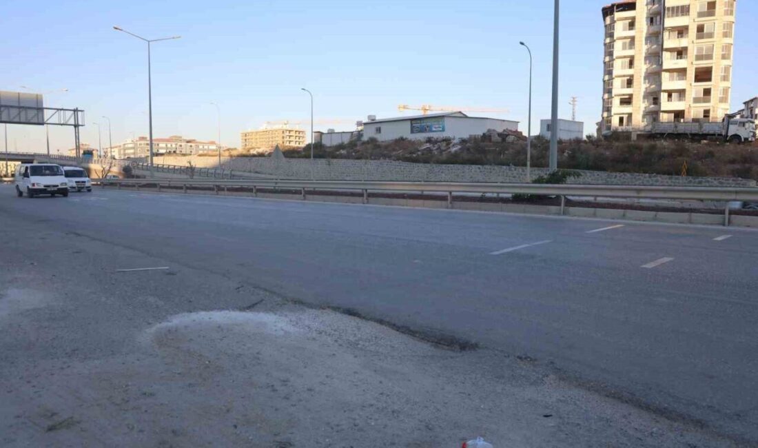 Hatay’da ahırdan kaçarak karayoluna çıkan ve sürücülere zor anlar yaşatan