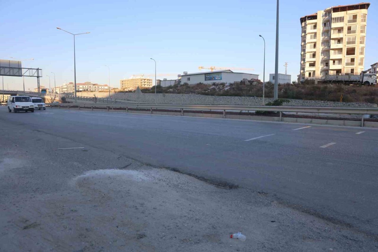 Hatay’da ahırdan kaçarak karayoluna çıkan ve sürücülere zor anlar yaşatan