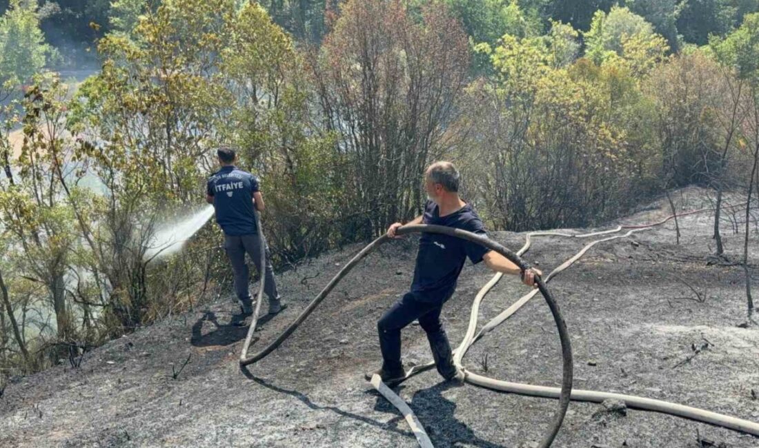 Karabük’ün Safranbolu ilçesinde ahşap evden çıkarak ormanlık alana sıçrayan yangın