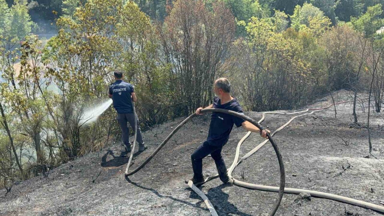 Karabük’ün Safranbolu ilçesinde ahşap evden çıkarak ormanlık alana sıçrayan yangın